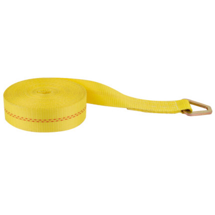 2IN WINCH STRAP W/DELTA RING